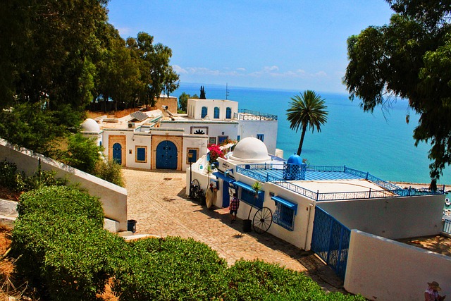 Tunis